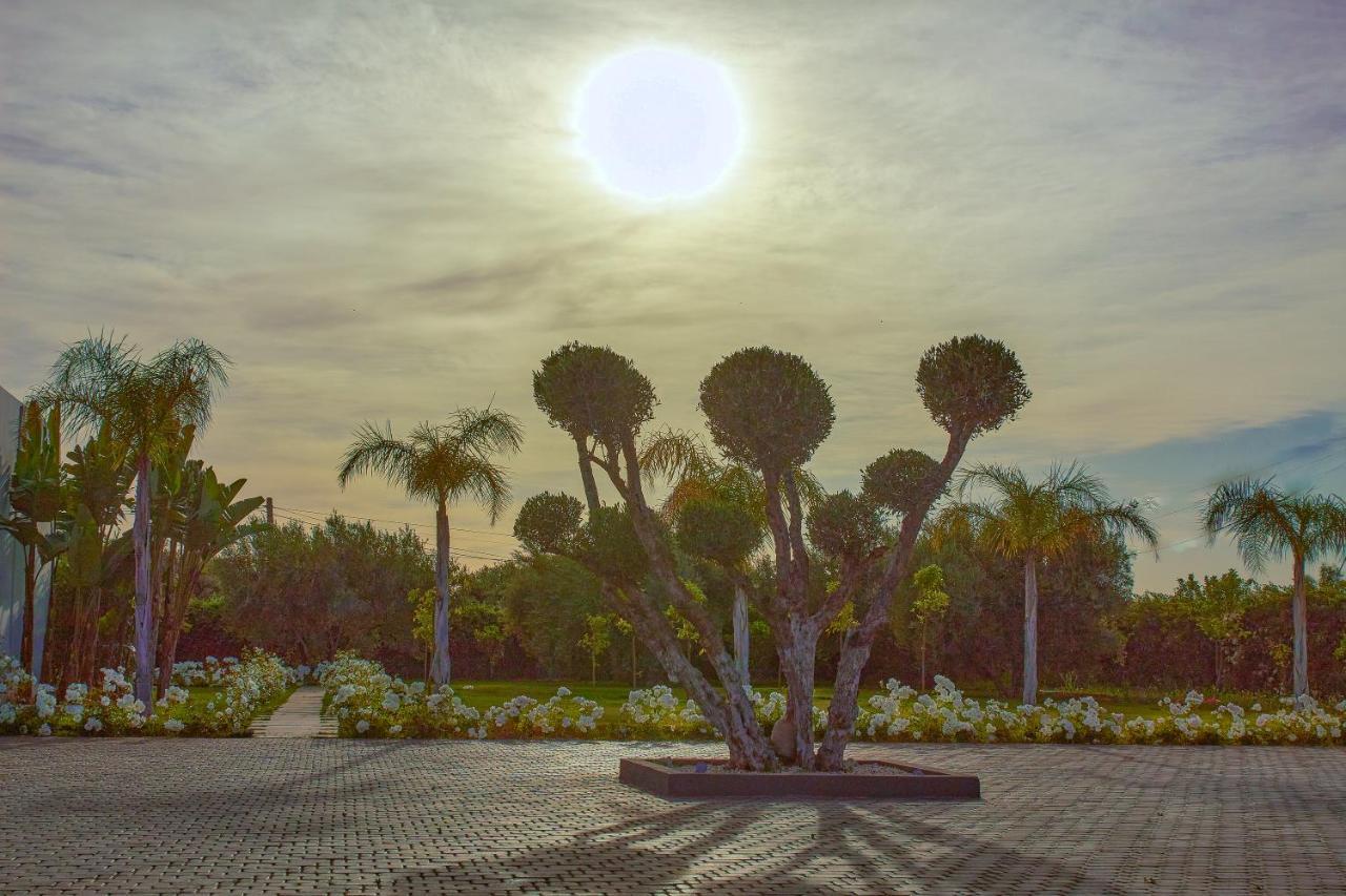 Villa Jardins D'Isa Marrakesch Exterior foto