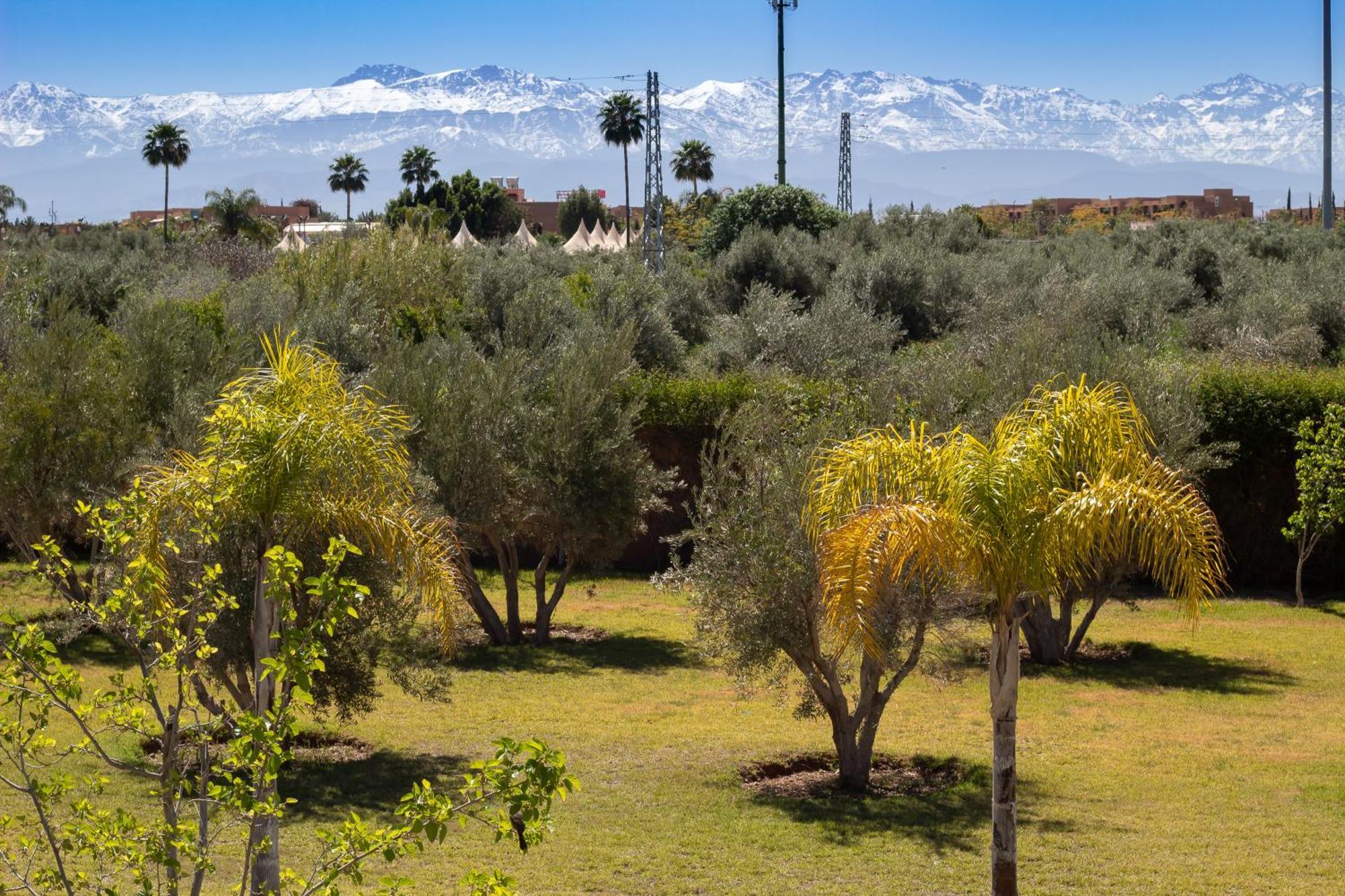 Villa Jardins D'Isa Marrakesch Exterior foto